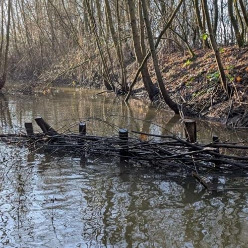 "Vissenbossen zijn de mangroven van Nederland&rdquo;