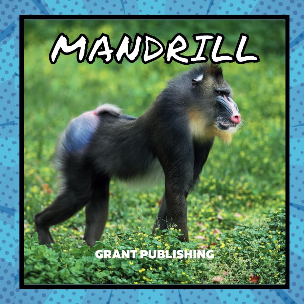 Mandrill: Wildlife Books for Kids (Wildlife book for young children)