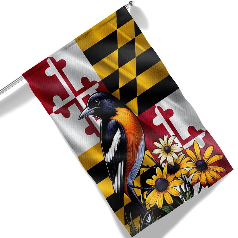 Amazon.com : Maryland State Baltimore Oriole Bird and Black-eyed