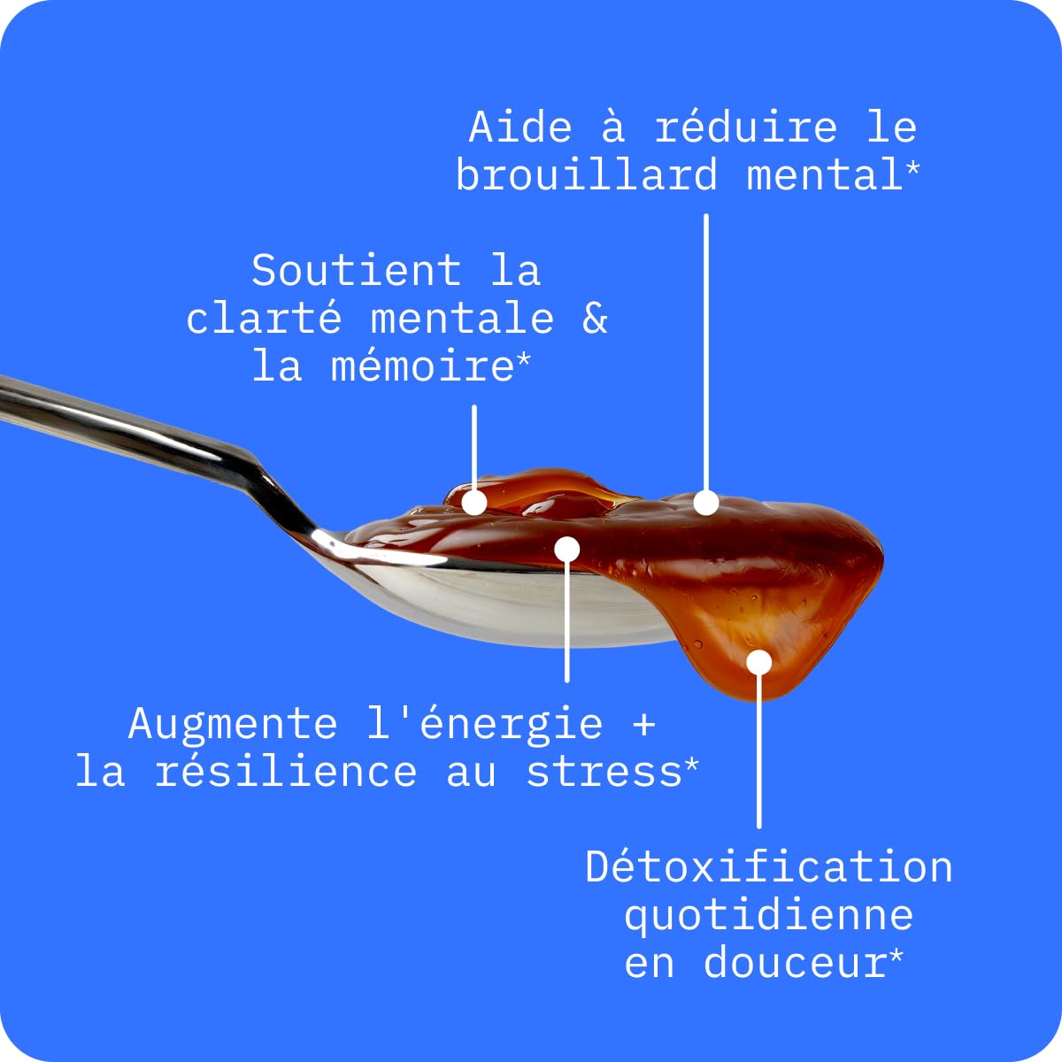 BodyBio PC - Complexe de Phospholipides avec Phosphatidylserine - Clarté Mentale, Memoire et Concentration - Complement Alimentaire Cerveau et Détox Douce - 273 ml