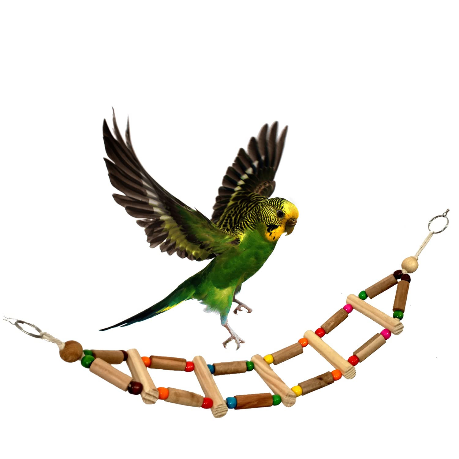 Jainsons Pet Products Bird Swing Toys, Chew Toys with Hanging Cage Toys for Small Parakeets, Cockatiels, Conures, Finches, Budgie, Macaws, Parrots, Love Birds (B0BCPFHHLZ) Amazon Price History, Amazon Price Tracker
