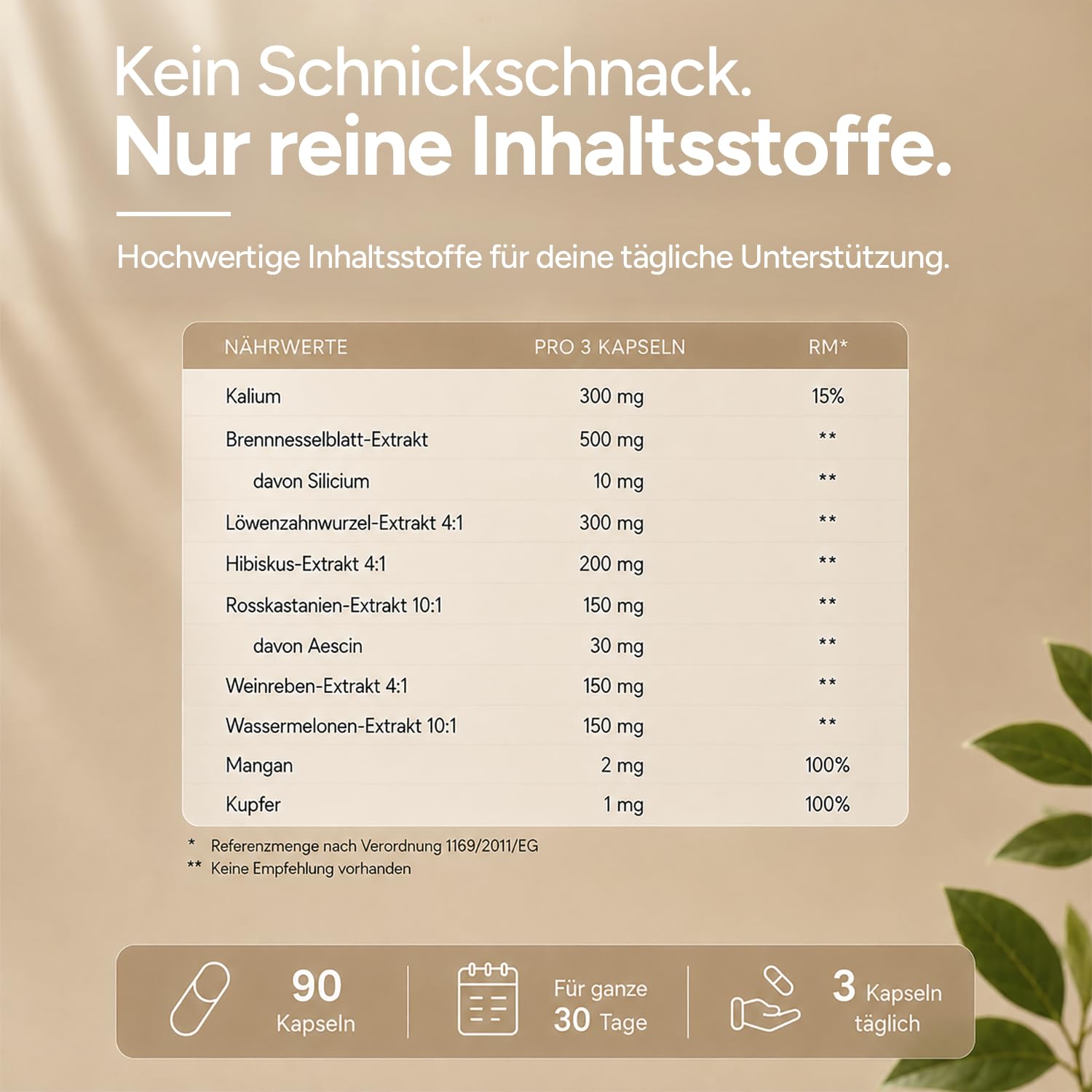 Entwässerungstabletten - Brennnessel Kapseln gegen Wassereinlagerung in den Beinen - Diuretika ohne chemische Entwässerungskapseln - 9-Fach Komplex – 90 Kapseln
