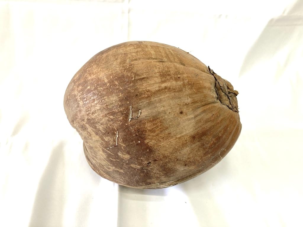 中国古美術 椰子の実 おちょこ 中国古美術 椰子の実 おちょこ - メルカリ