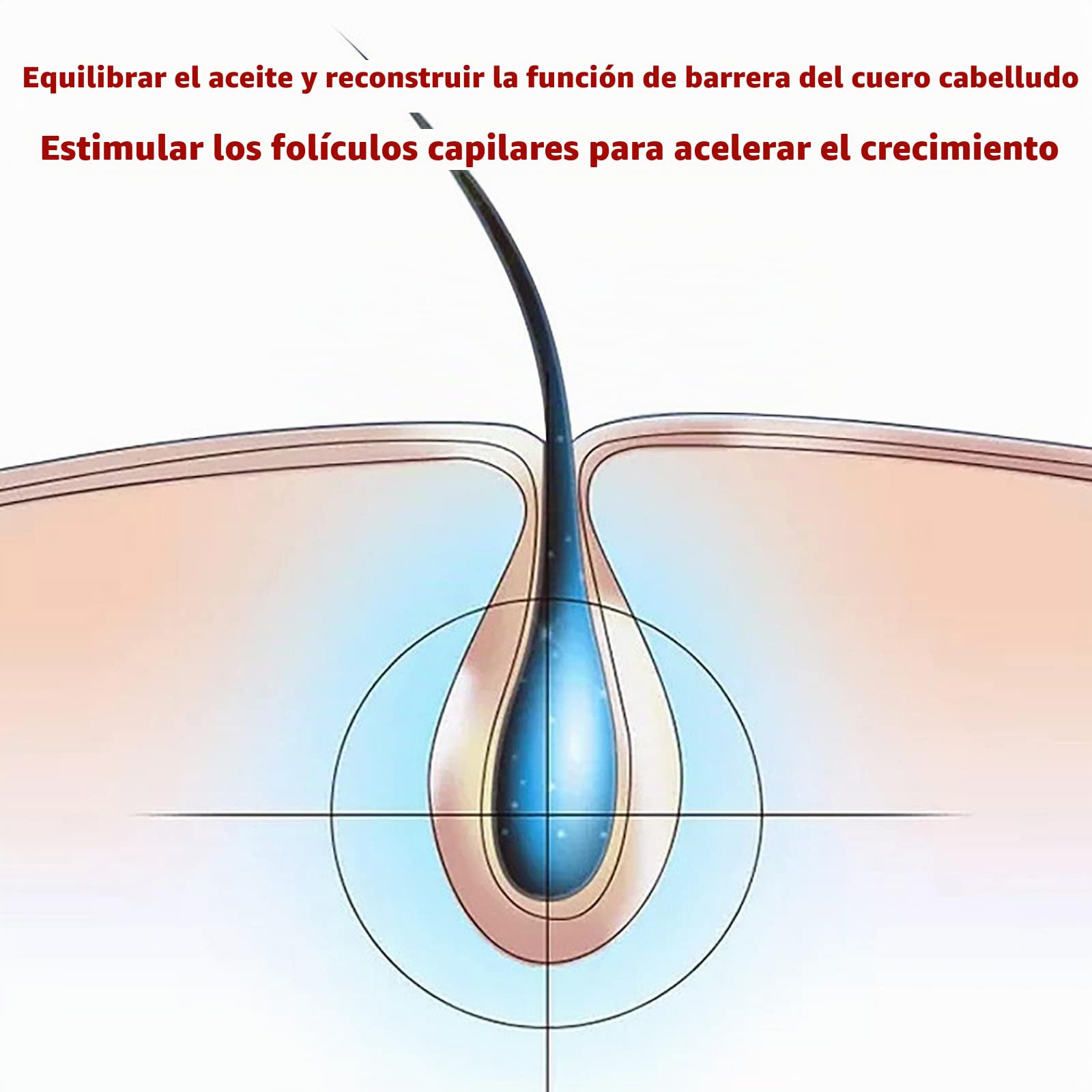 NOLEGA Peine para El Crecimiento del Cabello 2 En 1,Dispositivo Sistema Tratamiento para El Crecimiento del Cabello con MicrocorrienteEMS Y FunciónRF,Longitud Ondalaluzpotencia:630NM/650NM,parahogar