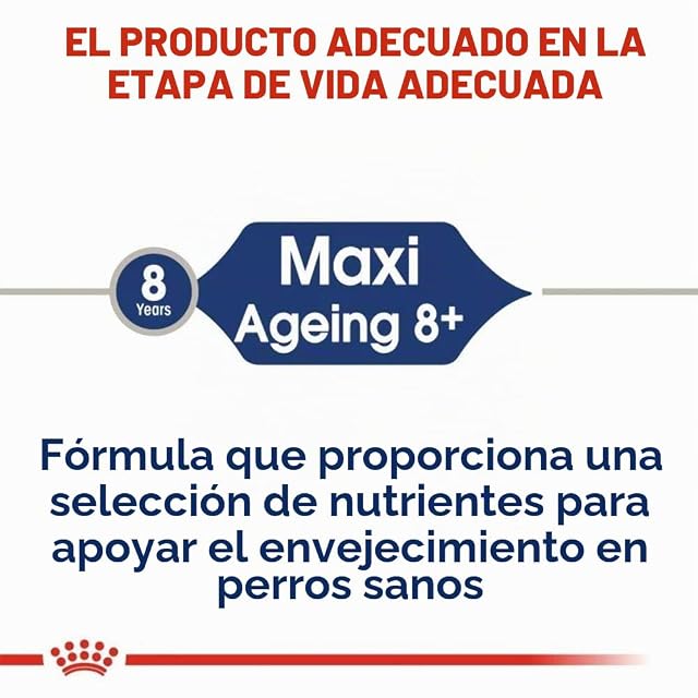 Foto 4 de 5 de ROYAL CANIN Comida húmeda Maxi Ageing 8+ Trozos de Carne en Salsa para Perros Senior de Razas Grandes