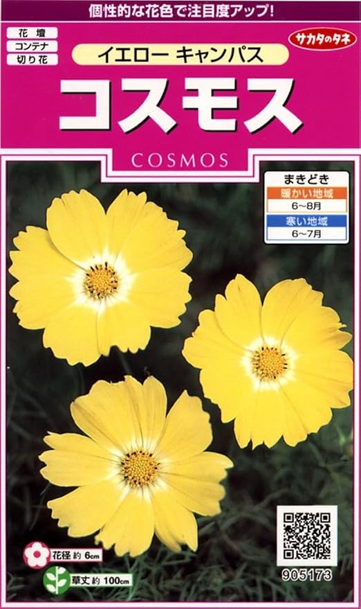 Amazon サカタのタネ 実咲花5173 コスモス イエロー キャンパス 花 Amazon サカタのタネ 実咲花5173 コスモス イエロー キャンパス 花