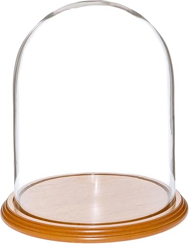 Miniatura 6 de Plymor Cúpula de cristal de 8" x 10.25" (base de chapa de nogal)