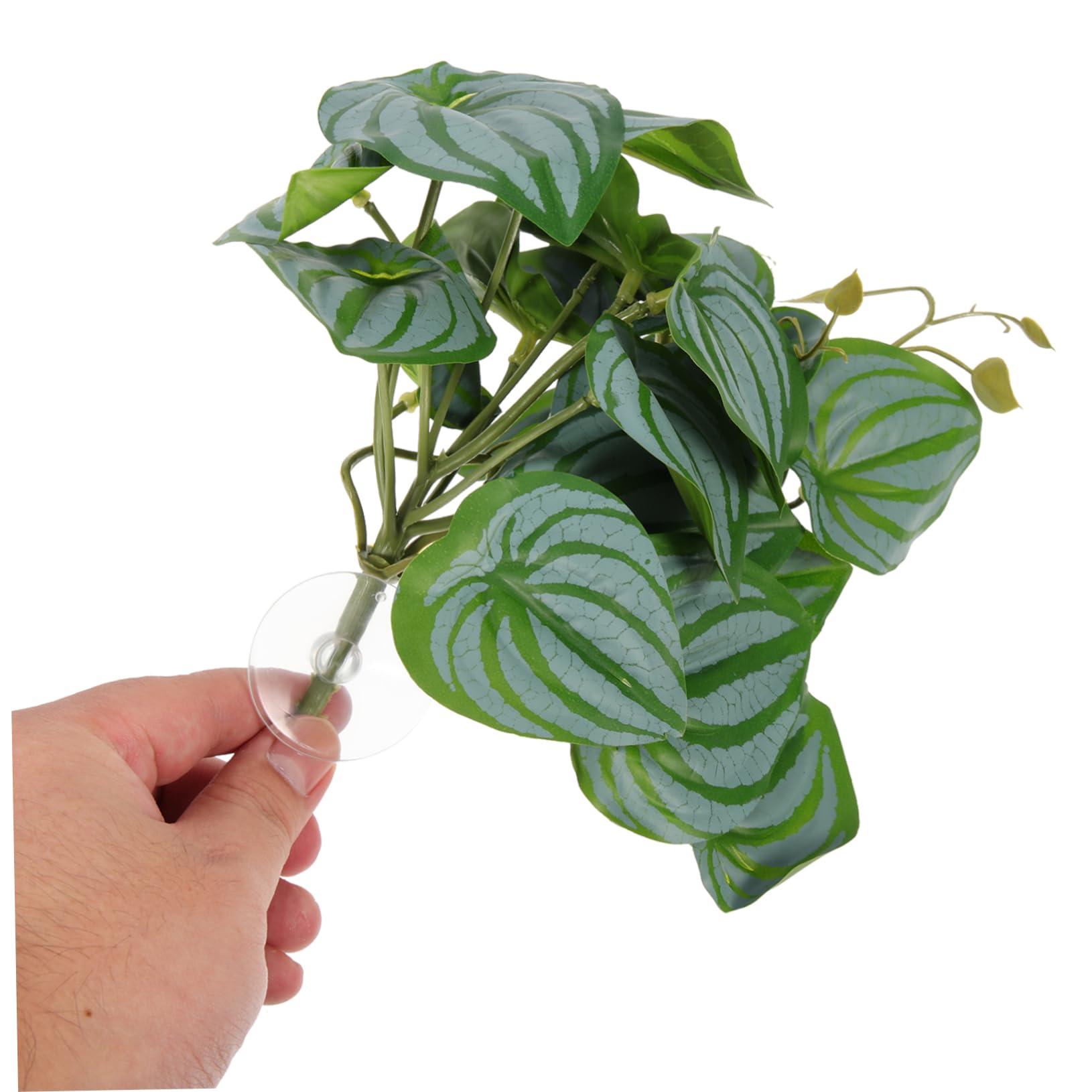 Happyyami 10piezas Plantas Decorativas Artificiales para Terrario De Reptiles Simuladas De Alta Realidad para Acuarios y Hábitats De Mascotas Decoración Natural para Peceras y Espacios