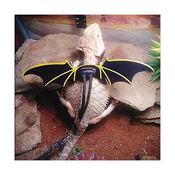 Adjustable lizard leash bearded dragon harness cool leather wings safety walking leash(s,m,l,3pack) - image 6