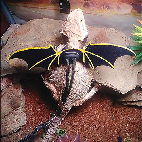 Adjustable Lizard Leash Bearded Dragon Harness Cool Leather Wings Safety Walking Leash(S,M,L,3pack) - Image 6