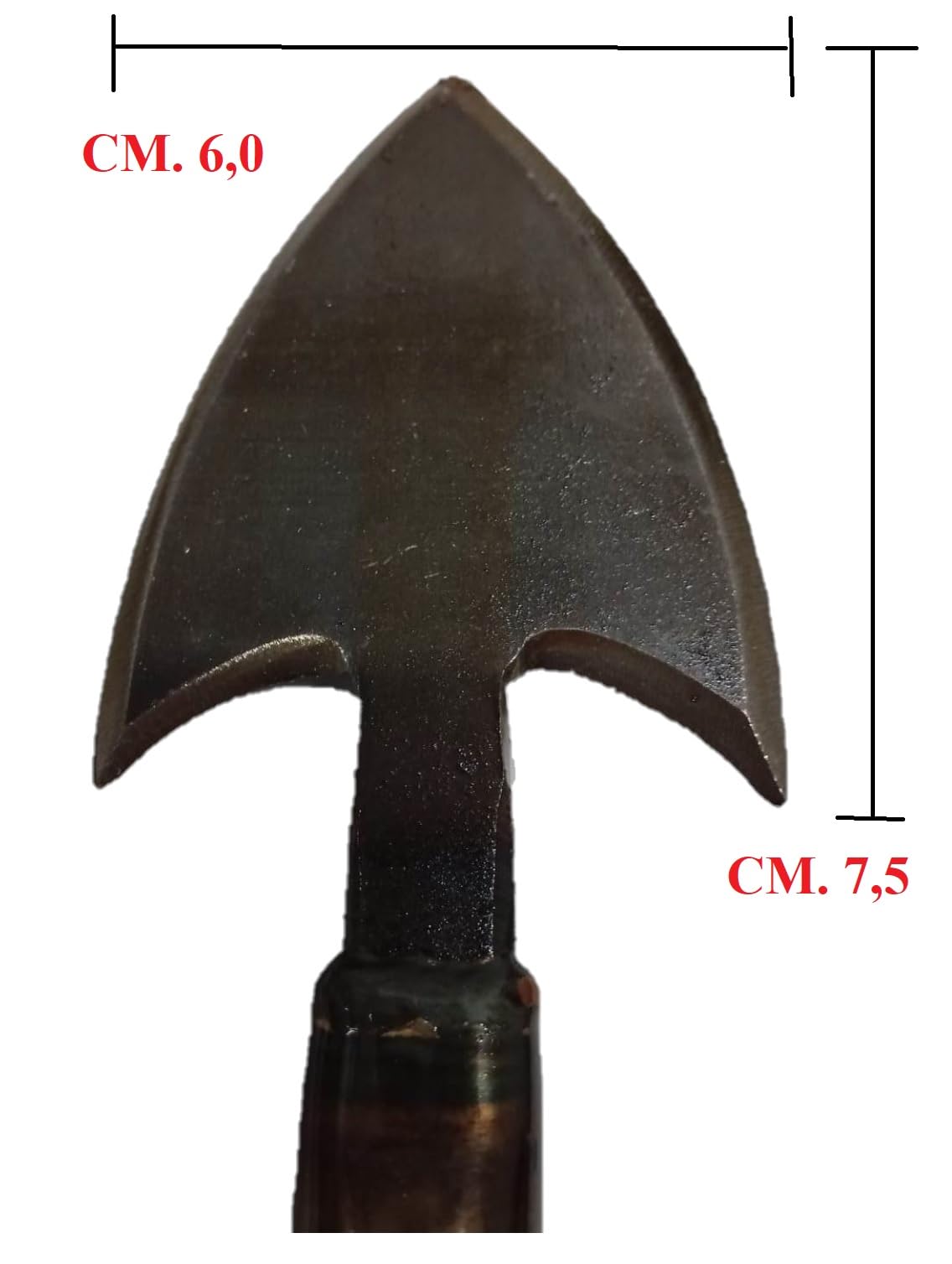 Vanghetto per Tartufi Professionale A LANCIA PICCOLO con Manico in FAGGIO cm 60