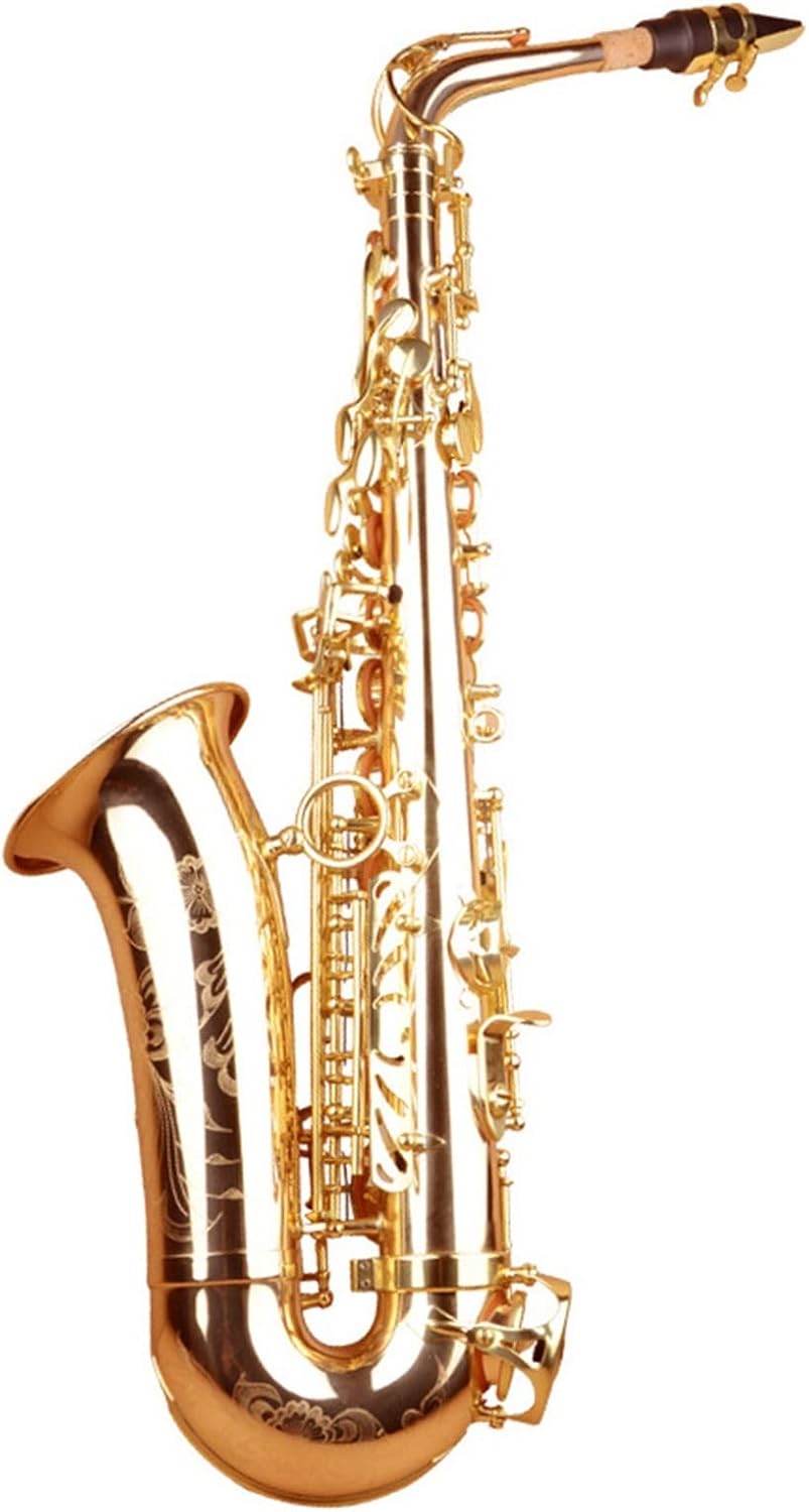 KERREY 初心者と大人のためのEフラットアルトサックス 学生サックス初心者 KERREY 学生初心者のためのEフラットアルトサックス 学生サックス初心者  サックス、Eフラット、アルト管楽器、学生、初心者、大人向け (ゴールデン) KERREY 初心者と大人のためのEフラットアルト ...