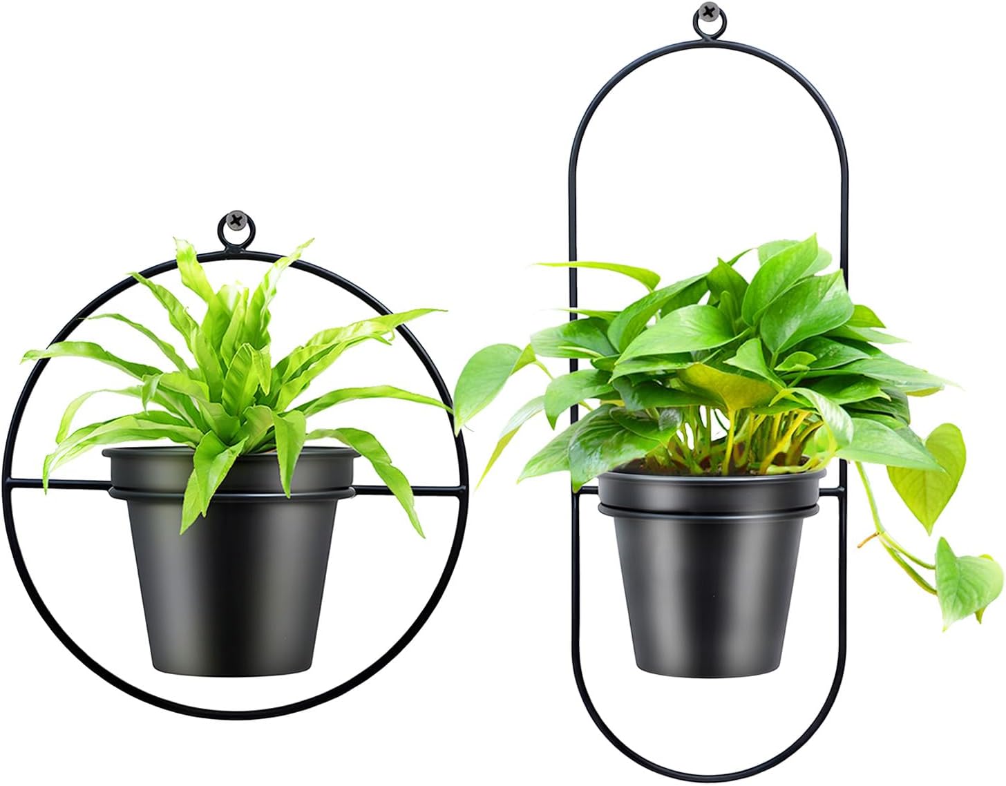 Geometric Wall Planters for Indoor Plants – Set of 2 Black Metal Wall Mounted Plant Holder (Round & Oval Shapes) with 5 Inch Flower Pots, Modern haning planters for Indoor Outdoor Décor