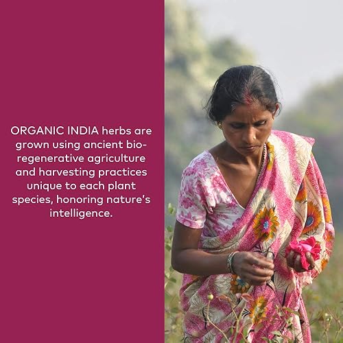Miniatura 5 de Organic India Tulsi - Suplemento de hierbas  Albahaca santa apoyo inmunológico adaptógeno apoya una respuesta saludable al estrés vegano sin gluten