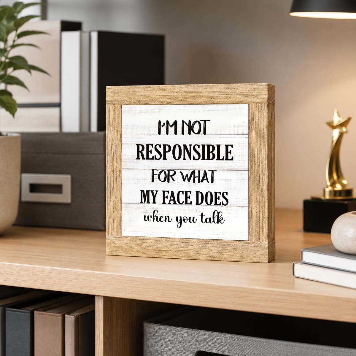 Funny Office Accent, Farmhouse Wooden Sign, Personal Attitude Table Display image 4