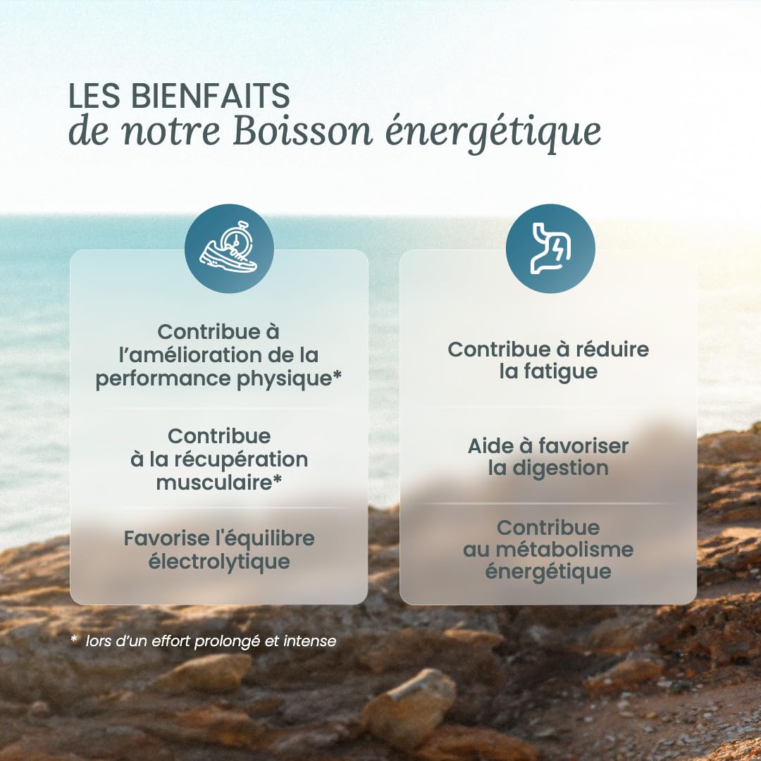 NUTRI & CO Boisson Énergétique Isotonique en Poudre - Ratio 2:1 Glucose/Fructose avec BCAA, Électrolytes, Postbiotiques & Gingembre - Running, Vélo, Hyrox - 490g Goût Pêche - Fabriqué en France