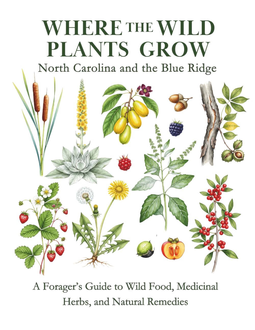 Where the Wild Plants Grow: North Carolina and the Blue Ridge: A Forager's Guide to Wild Food, Medicinal Herbs, and Natural Remedies (Where the Wild Plants Grow: Illustrated Foraging Guides)