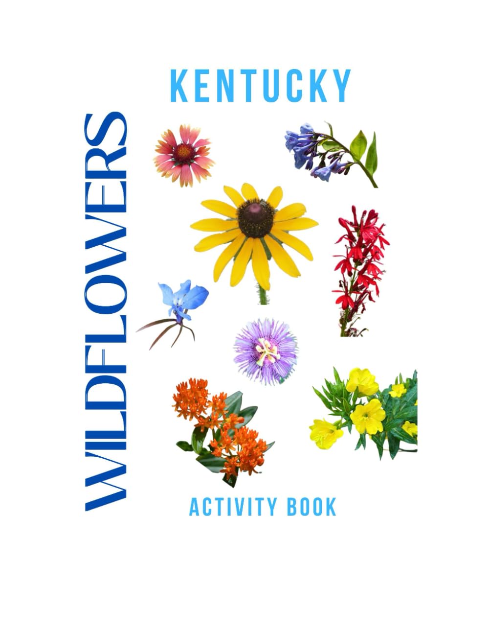 Wildflowers of Kentucky Activity Book: A Young Explorer's Field Guide to the Native Blooms of Kentucky (Kentucky Nature Explorer Series)