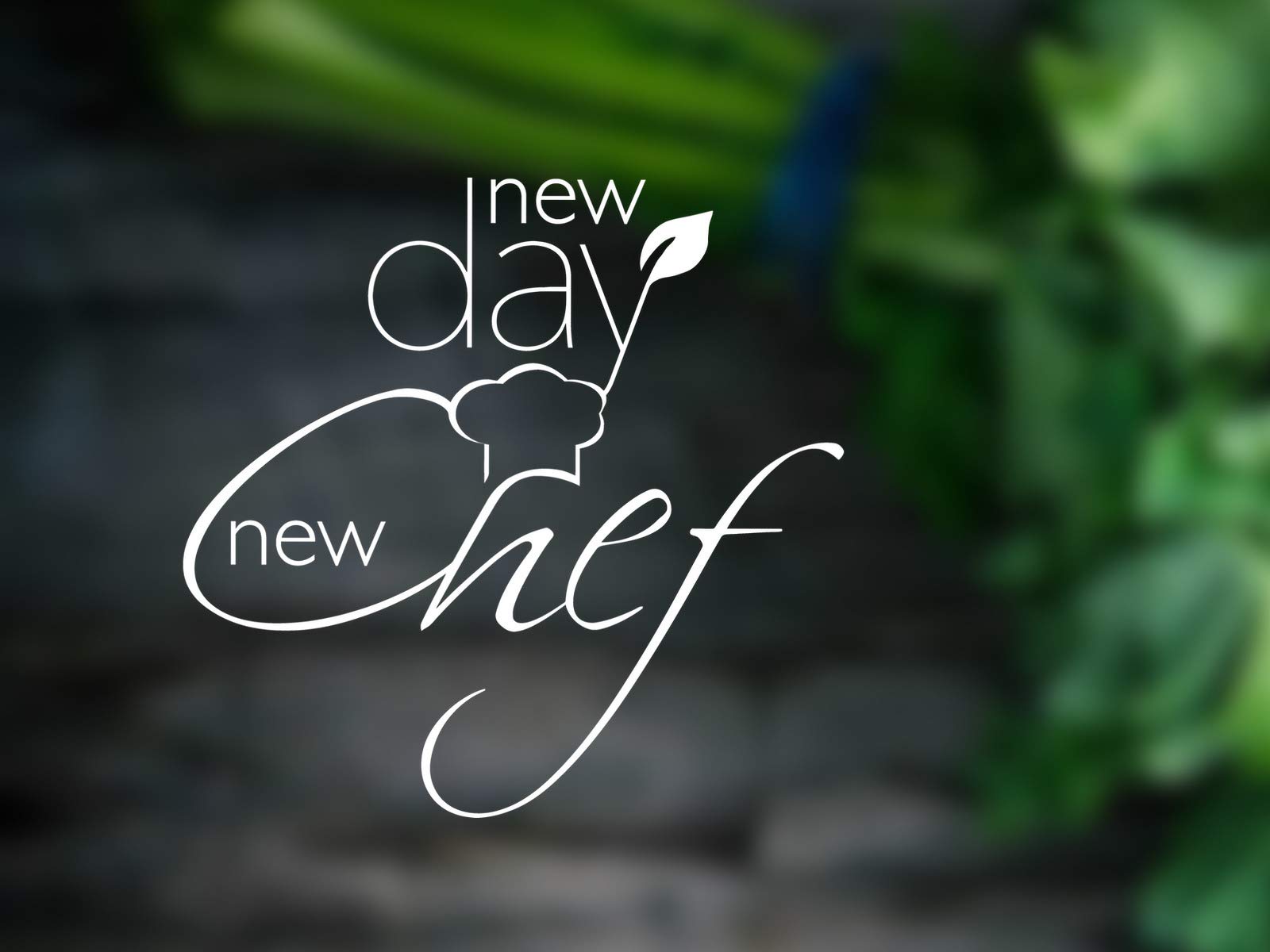New Day New Chef