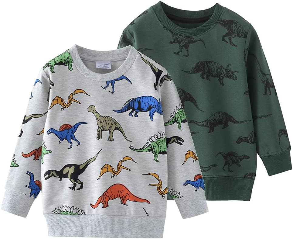 Baby Boy Dinosaurs Round Neck Cotton Long Sleeve Pullover Sweatshirt