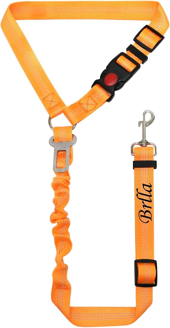 Personalized Dog Car Seat Belt with Embroidered Name, Customized Dog