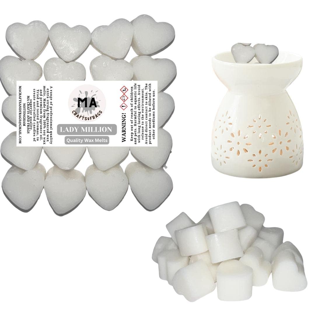 20 x Highly Scented Wax Melts Mini Hearts Many fragrances Designer Inspired (Lady Million)