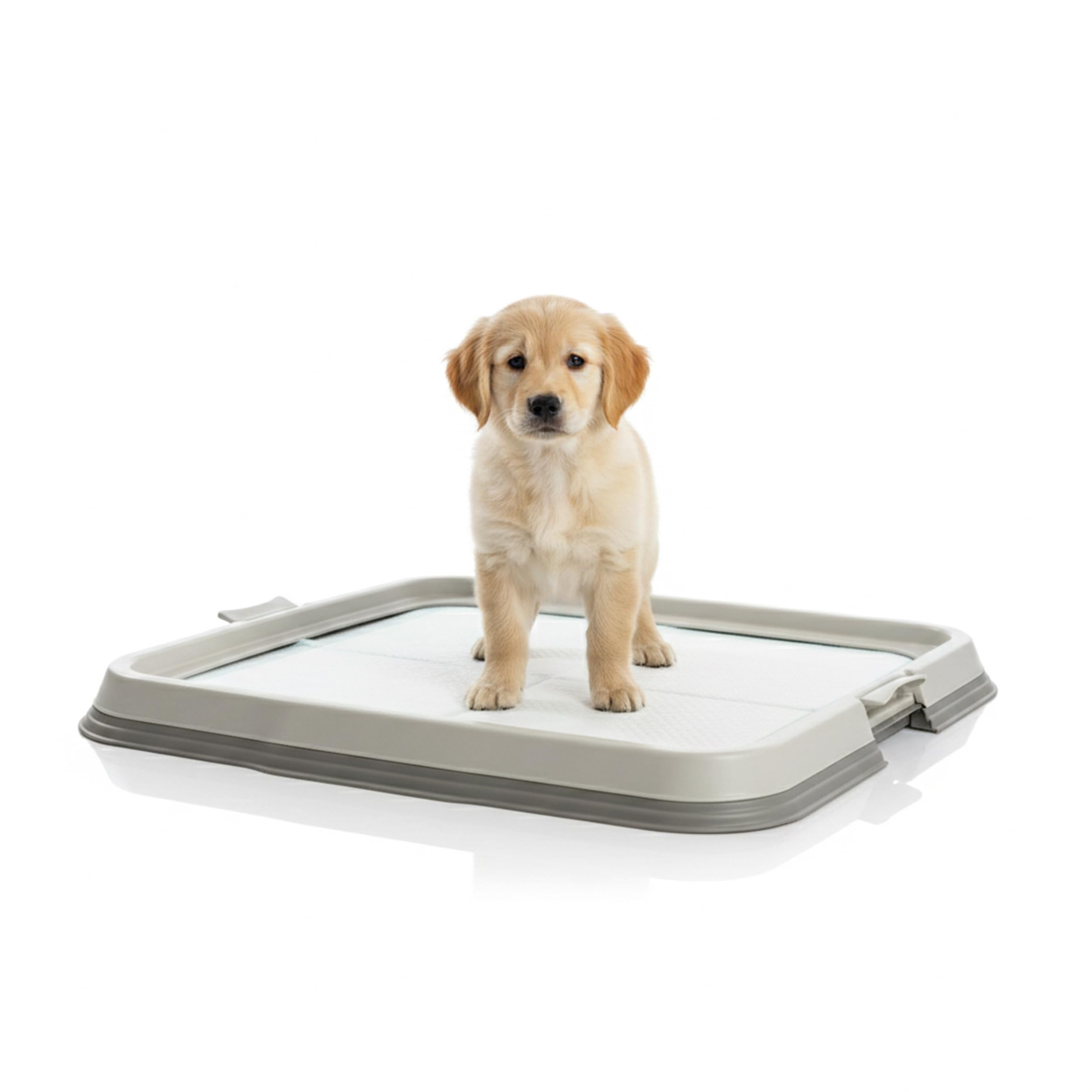 AqpetFriends Lettiera per Cani con Vassoio Porta Tappetini Assorbenti 60x60 cm, Base Antiscivolo per Traversine Igieniche, Ideale per Addestramento Cuccioli e Uso Domestico