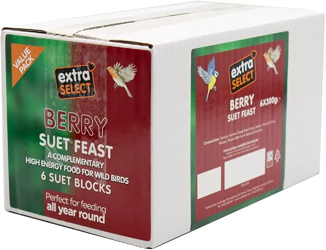 Extra Select Wild Bird High Energy Berry Suet Blocks 6x300gm