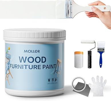 Matte Wood Furniture Paint, White, 16 Fl Oz with Tools