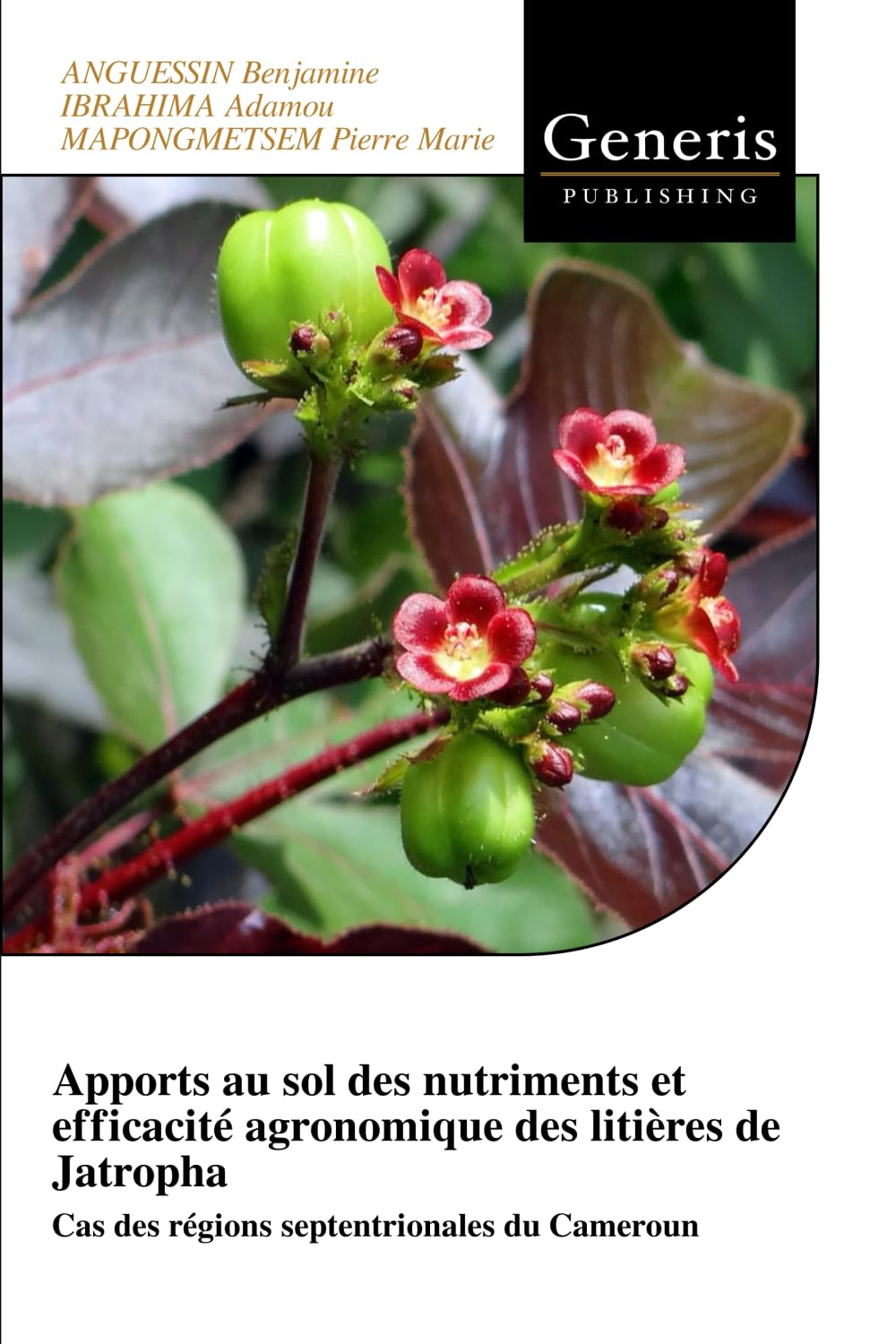 Apports au sol des nutriments et efficacité agronomique des litières de Jatropha: Cas des régions septentrionales du Cameroun