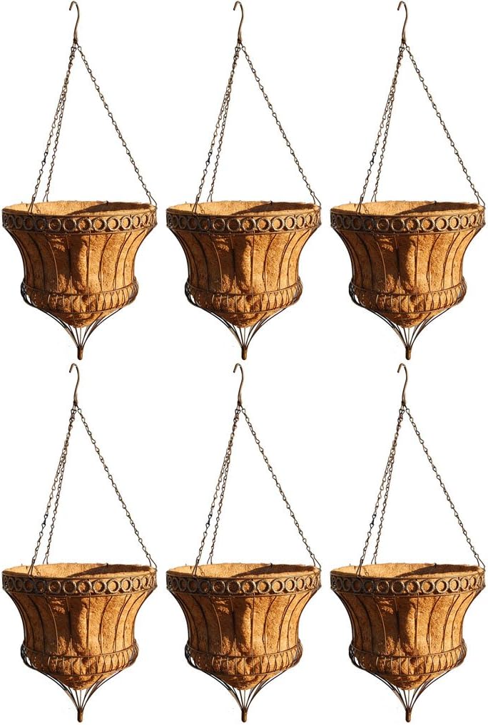 Queen Elizabeth Parasol Hanging Baskets - Rustic Brown 16 Inch Diameter - Case of 6