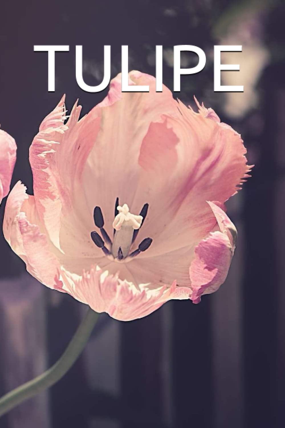 TULIPE: NOTEBOOK JOURNAL WITH 140 BLANK LINED PAGES SIZE 6×9 in