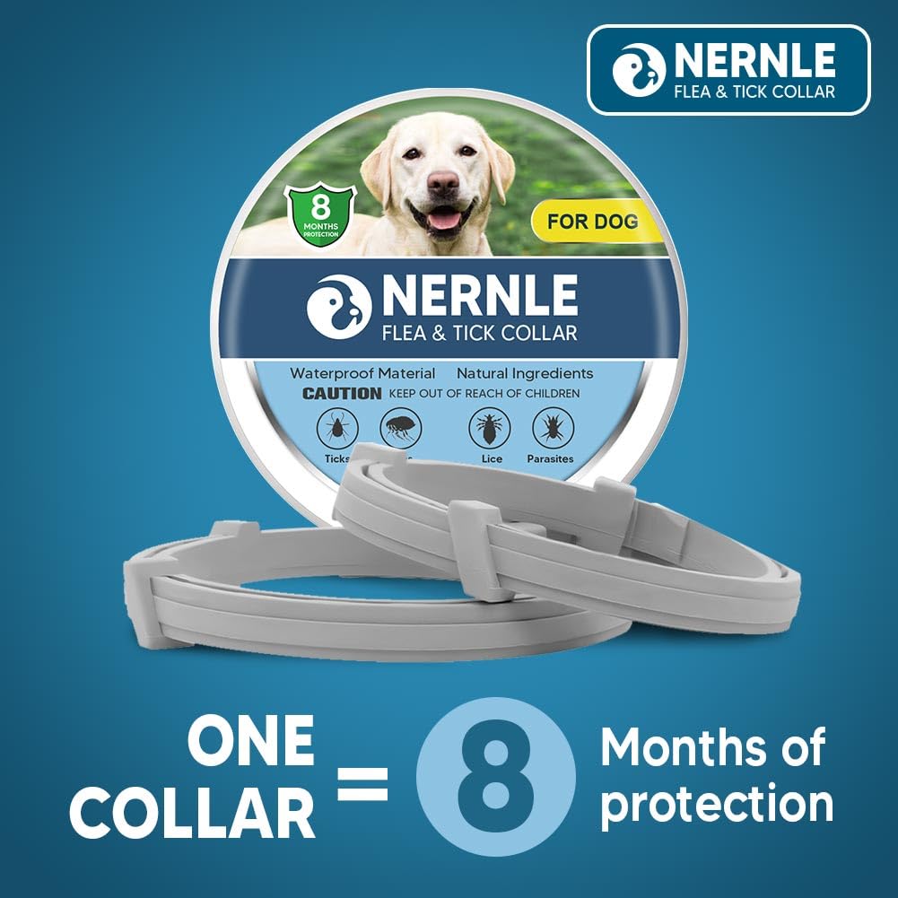 Collare per Cani Oltre 8 KG, Regolabile Collare Cane, Protezione 8 Mesi per Grande Cani, Collare per cani impermeabile 2 Pack