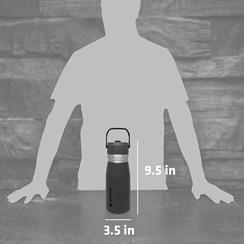 Stanley IceFlow Flip Straw Water Bottle 27 oz | Built-In Straw for Travel and Sports | Lightweight and Leak Resistant | Insulated Stainless Steel | BPA-Free | Charcoal