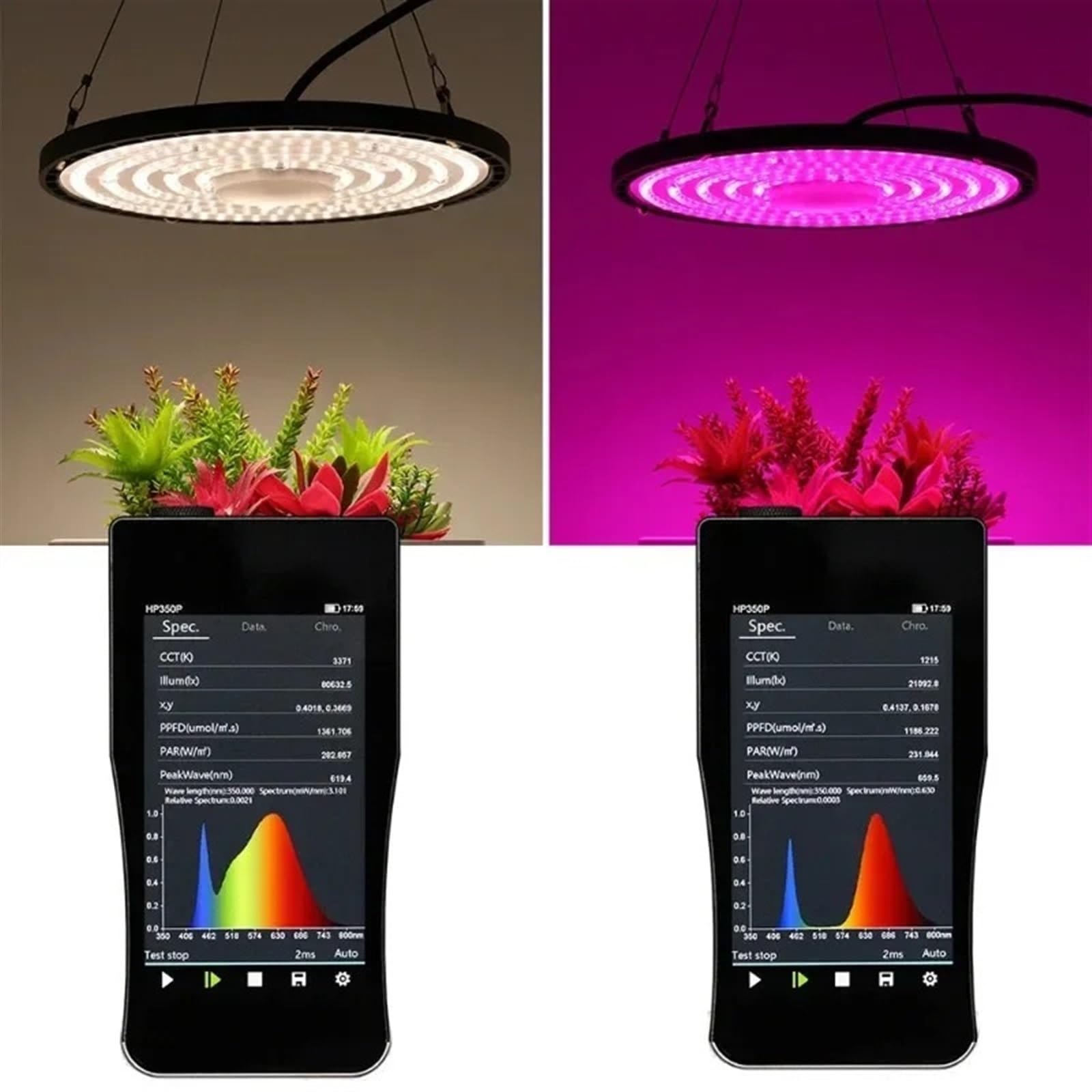 Lampa roślinna, 100W 150W 200W Pełne Spektrum Światła Do Uprawy Roślin Lampa LED Słoneczna Wysoki PPFD Oświetlenia Namiotu Szklarniowego W Pomieszczeniach(100W,Pink)