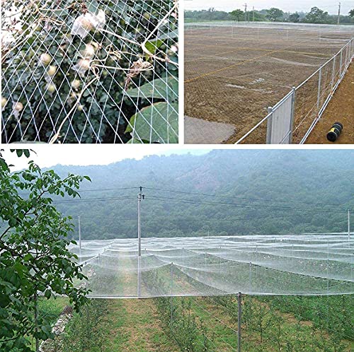 Red antipájaros resistente para jardín, 5 x 10 m, protege frutas, verduras y plantas de pájaros y roedores, red de enrejado para una protección eficaz de las plantas