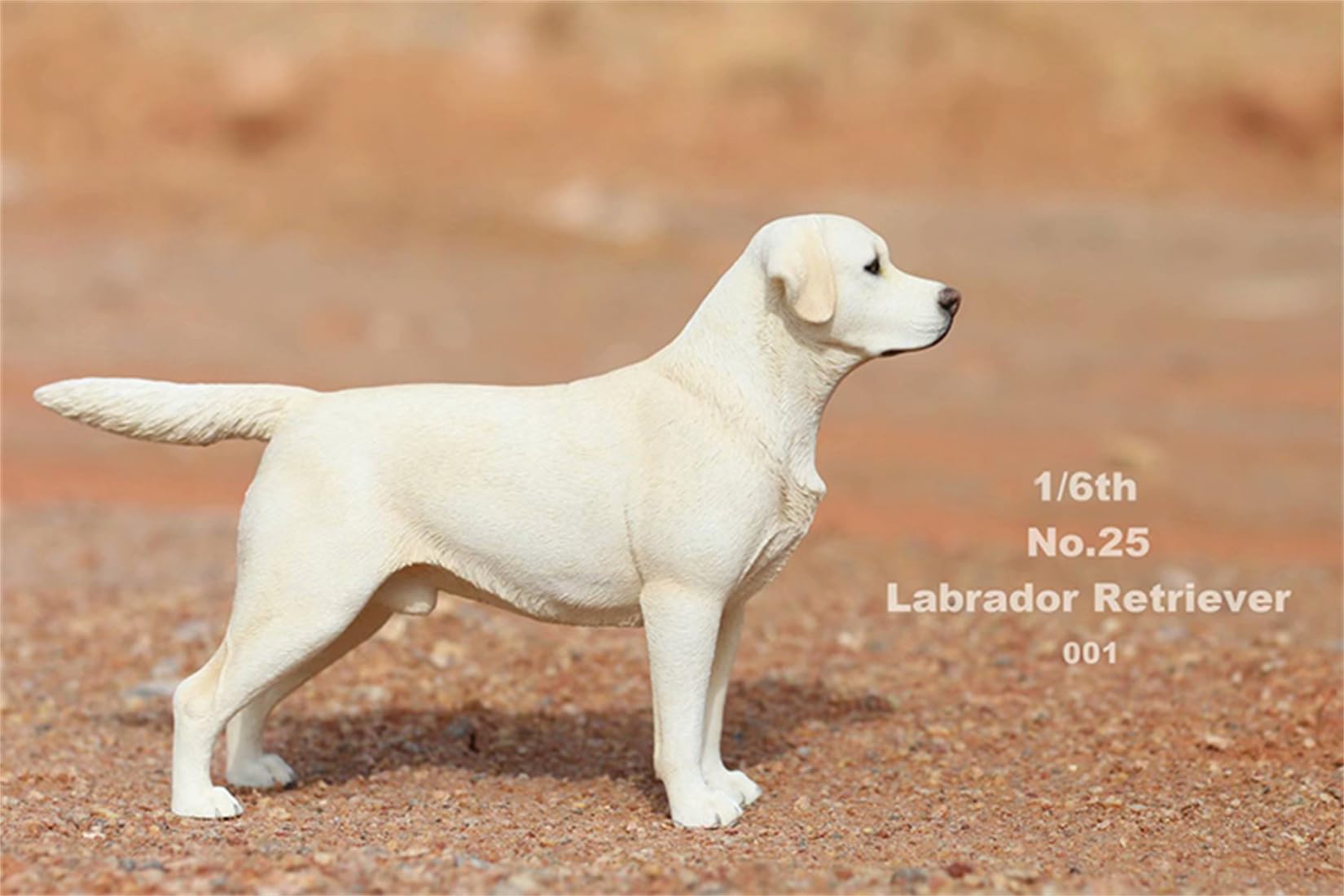 Amazon.co.jp: 1/6 ラブラドール・レトリバー 犬フィギュア 24cm級 PVC