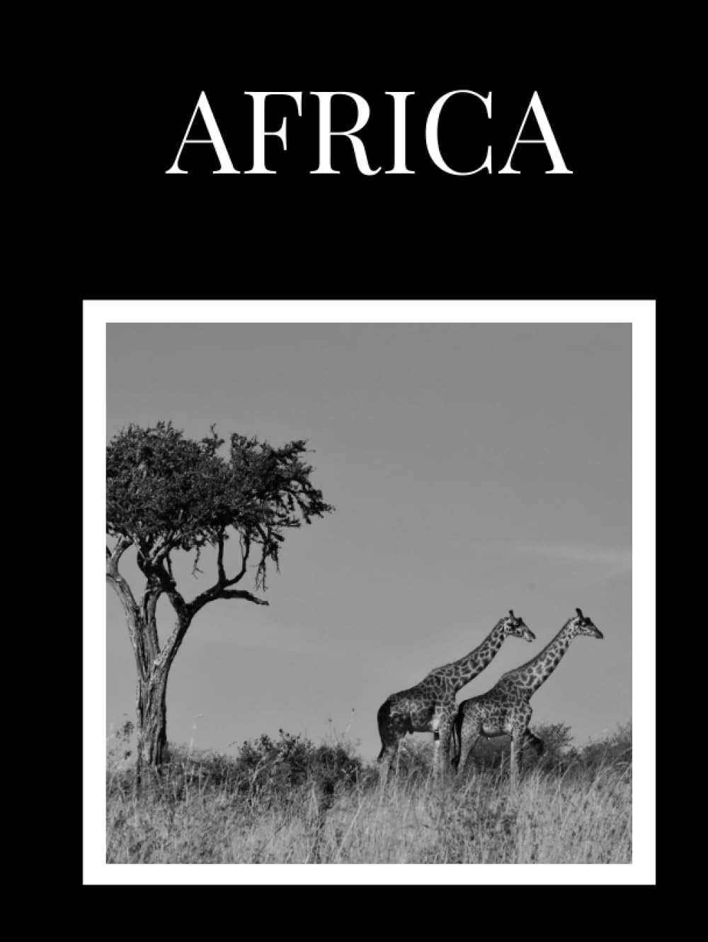 AFRICA World Collection Decorative Books Perfect for