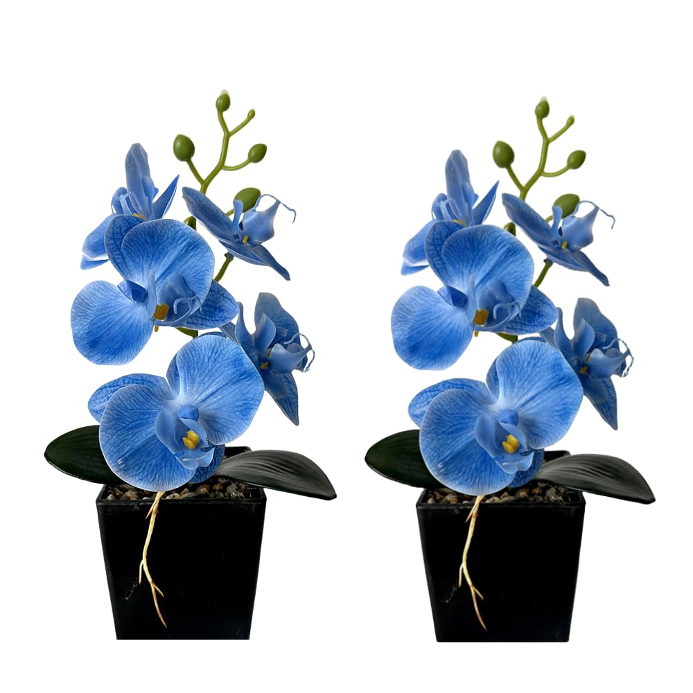 2 Pack Artificial Orchid Flowers with Vase,10 Inches Artificial Plant Bonsai Silk Flowers Butterfly Orchid with Pot for Wedding Office Home Decor Indoor Centerpieces (Blue)