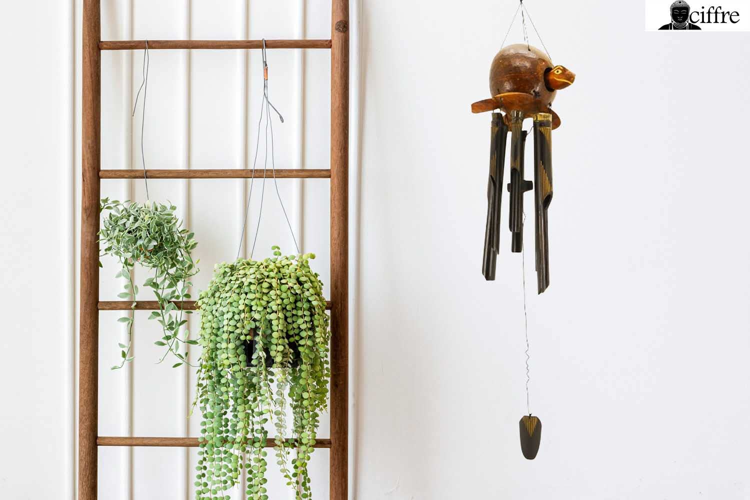 Premium 80cm Windspiel Holz Feng Shui Klangspiel Geschnitzt Kokosnuss Schildkröte Geschnitzt Guter Klang