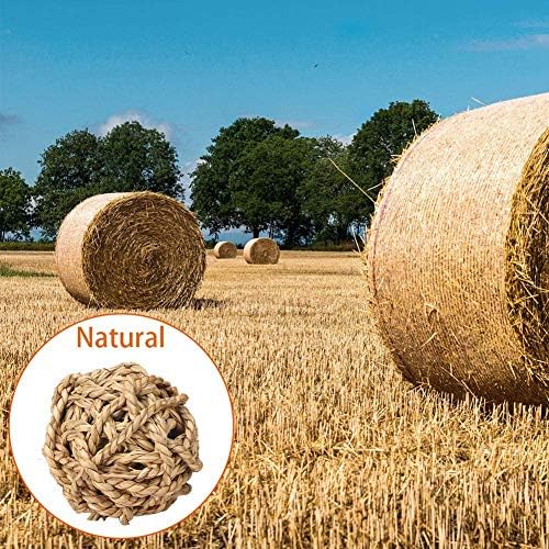 YANGWX 11PCS Rabbit Guinea Pig Hamster Bunny Chew Toys, Rabbit Accessory Teeth Care Toy Set, Natural Grass Rattan Sisal Carrot Corn Throw Bite Fun Balls Set Toy, for Bunny Hamster Gerbils