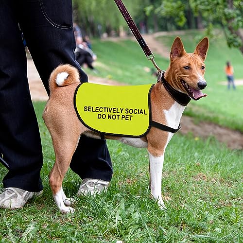 Social Anxiety Dog Jacket Vest Selectively Social Do Not Pet Dog Vest
