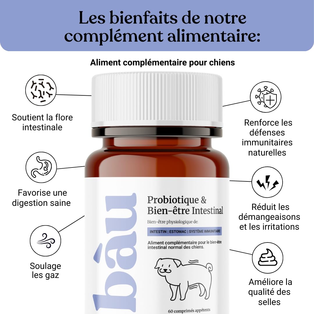 BAU Probiotiques pour Chien, Ferments Lactiques Canins, Soutien Gastro-Intestinal, Équilibre de la Flore Intestinale avec Ingrédients Naturels – 60 Comprimés