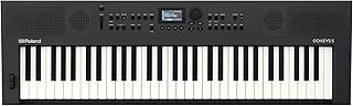 Roland GO:KEYS 5 Music Creation Keyboard | 61 Tasten | ZEN-Core Engine mit über 1000 internen Sounds | Integrierte Stereolautsprecher | Mikrofoneingang | Bluetooth Audio/MIDI – Graphit