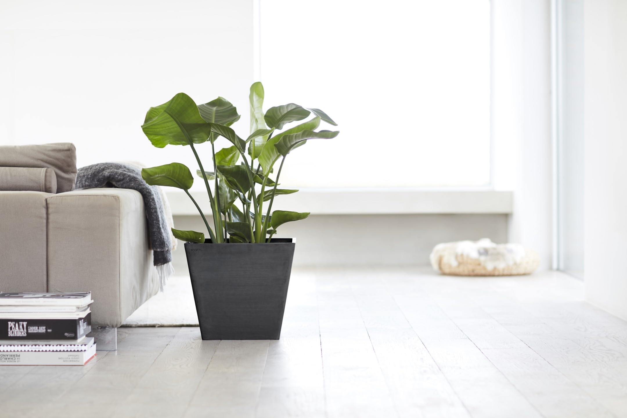 Ecopots Ashortwalk Rotterdam - Vaso per piante in plastica riciclata (larghezza 40 cm x lunghezza 40 cm x altezza 35 cm) (nero)
