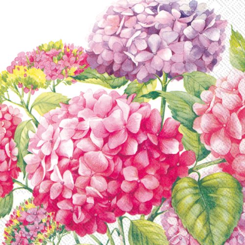 Ideal Home Range - 20 Servilletas de papel decoupage 3 capas, 33x33 cm, multicolor con tema floral, Hortensias rosas