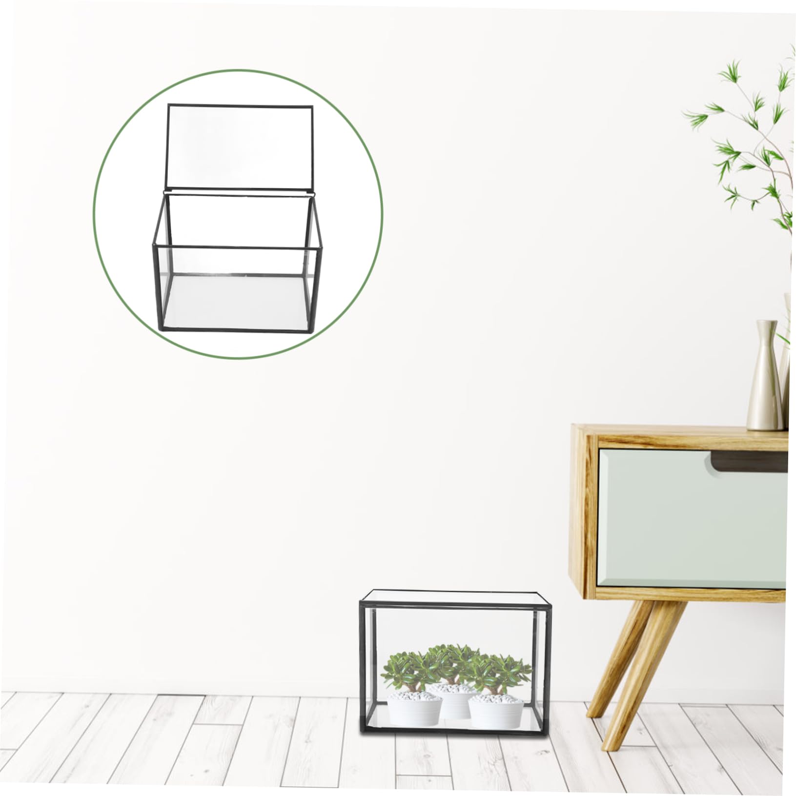 Kit per Terrario Piante in Vetro per Piante e Fiori, Terrario Fai da Te per Ufficio, Decorazione Semplice e Resistente