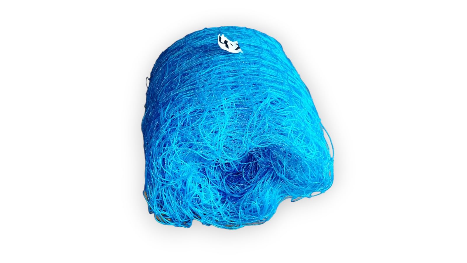 Azure Sports Nylon Nets Regular Practice/Training for Outdoor Sports Size 100x10 Feet Blue