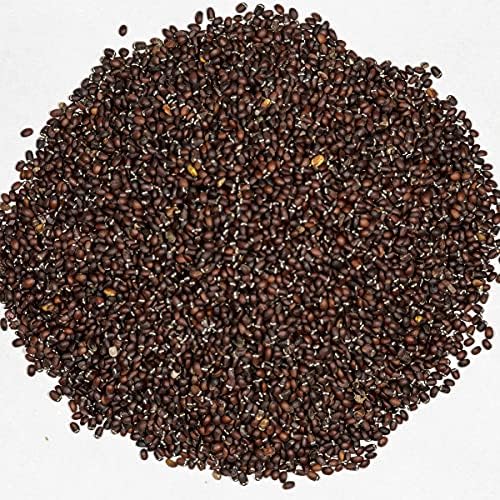 Welldales 50 White Flower Catnip Seeds for Pots Aroma Bush Plant UK Nepeta Cataria Catmint