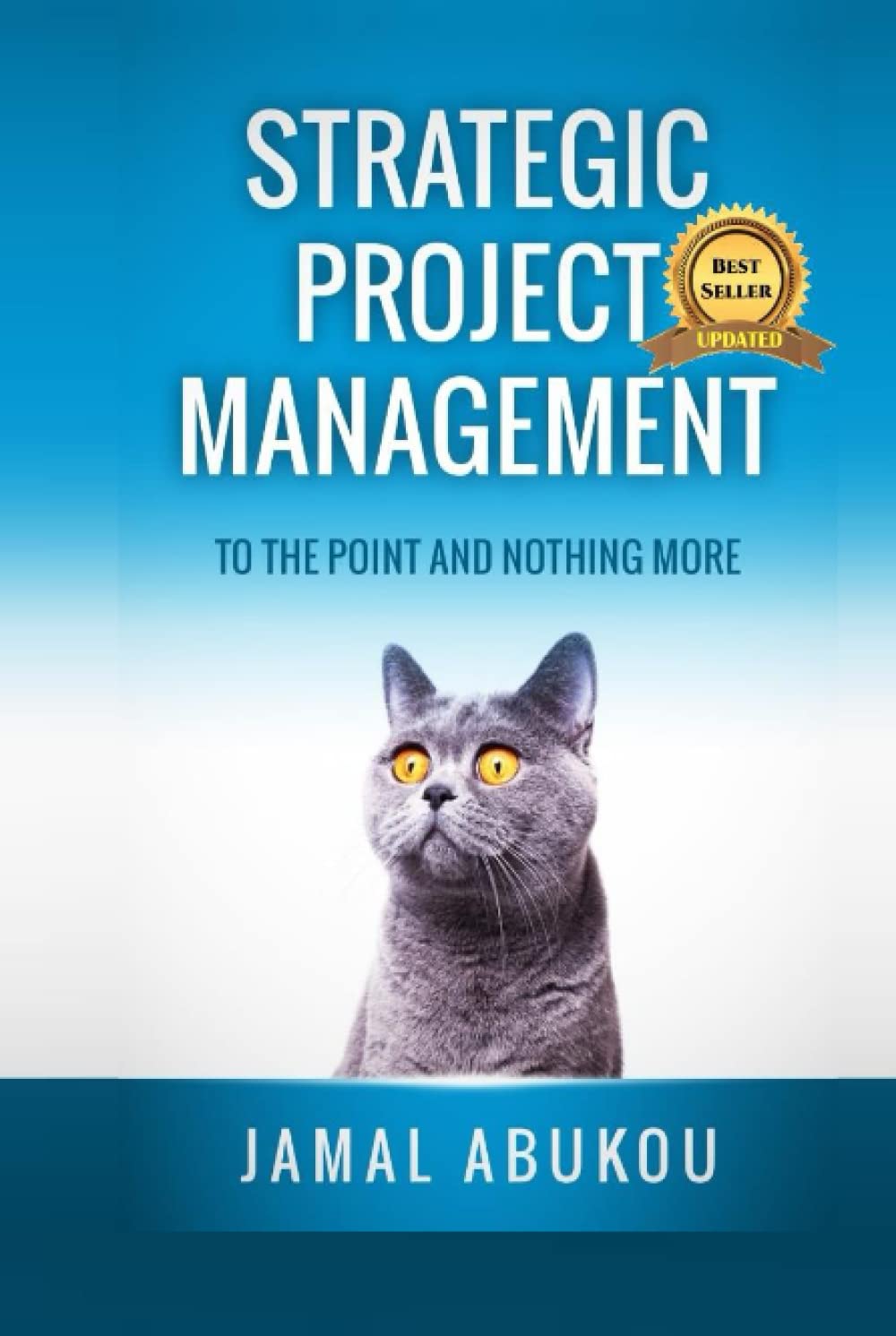 Strategic Project Management: To The Point And Nothing More